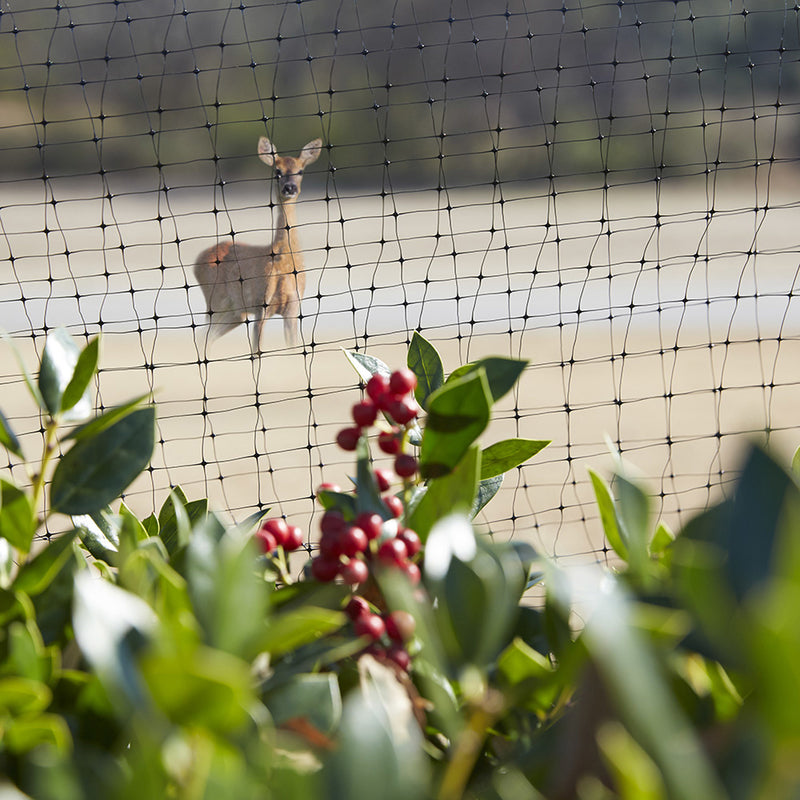 Greenscapes 50 ft. L X 3 ft. W Garden Netting