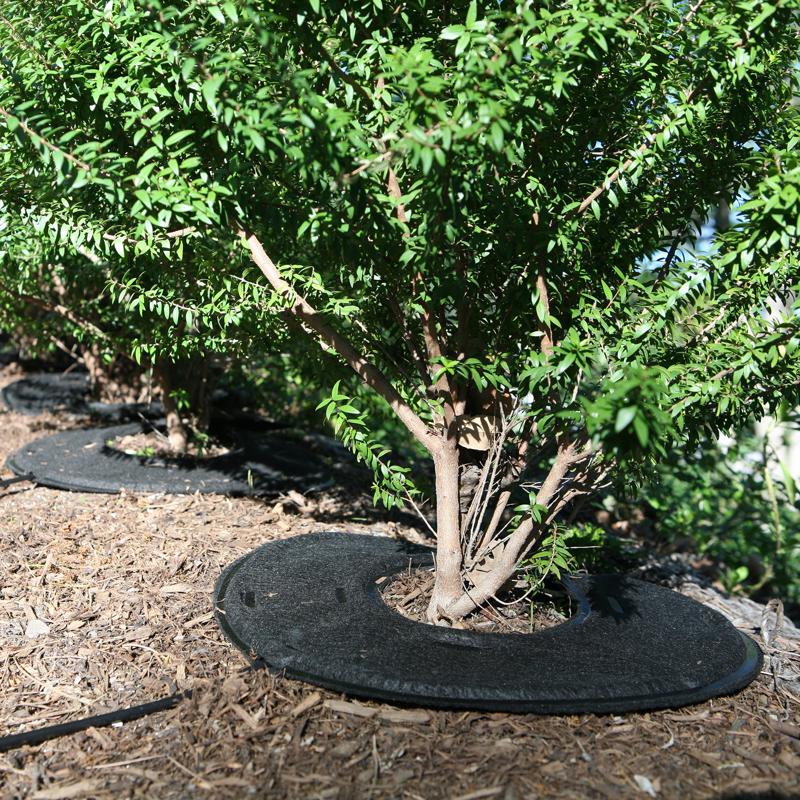 Raindrip For 1/4 in. Tubing Precision Watering Pad 0.5 in. H
