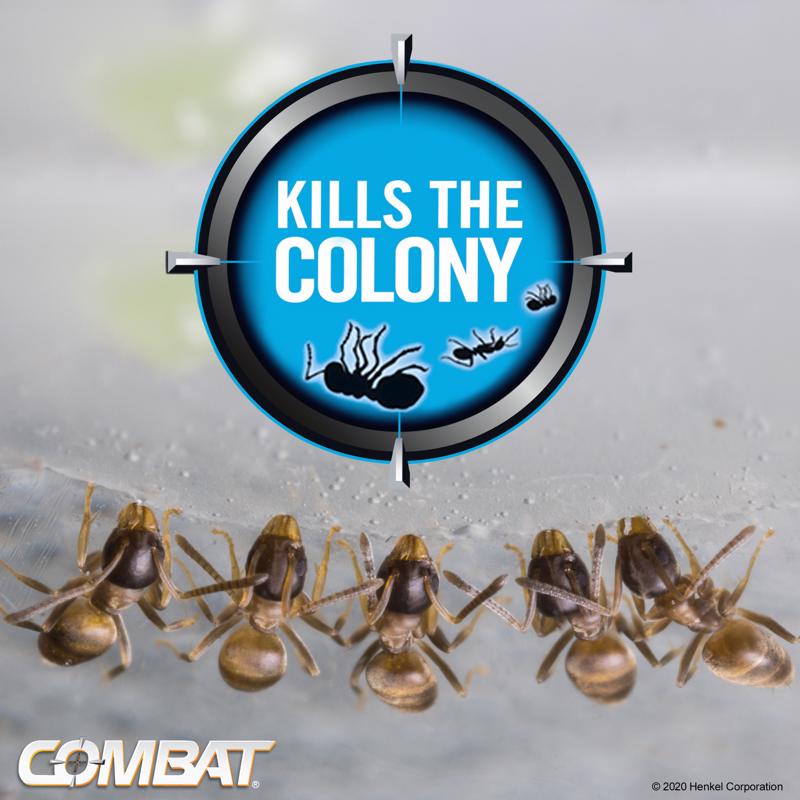 Combat Max Ant Bait Station 6 pk