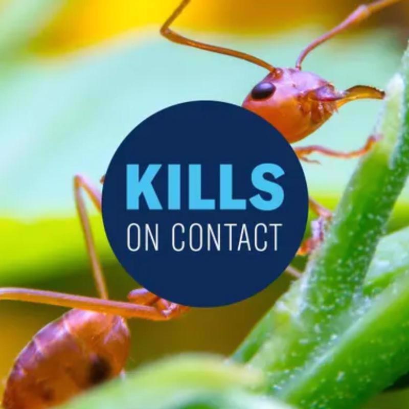 BioAdvanced 24 Hour, Ready-to-Spray Lawn Insect and Fire Ant Killer Spray 32 oz