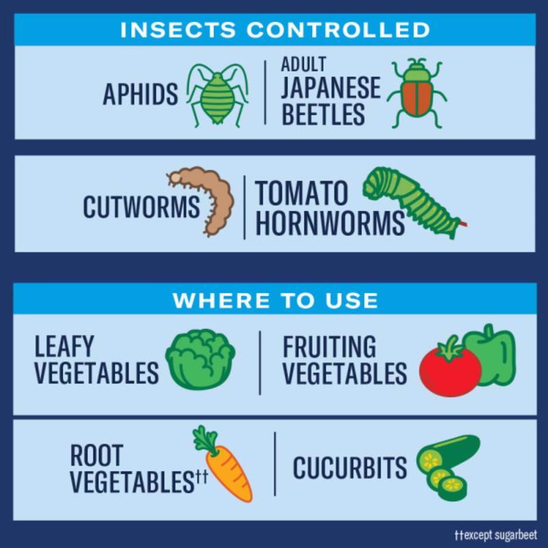 BioAdvanced Ready-to-Use, Tomato & Vegetable Insect Killer Spray 24 oz