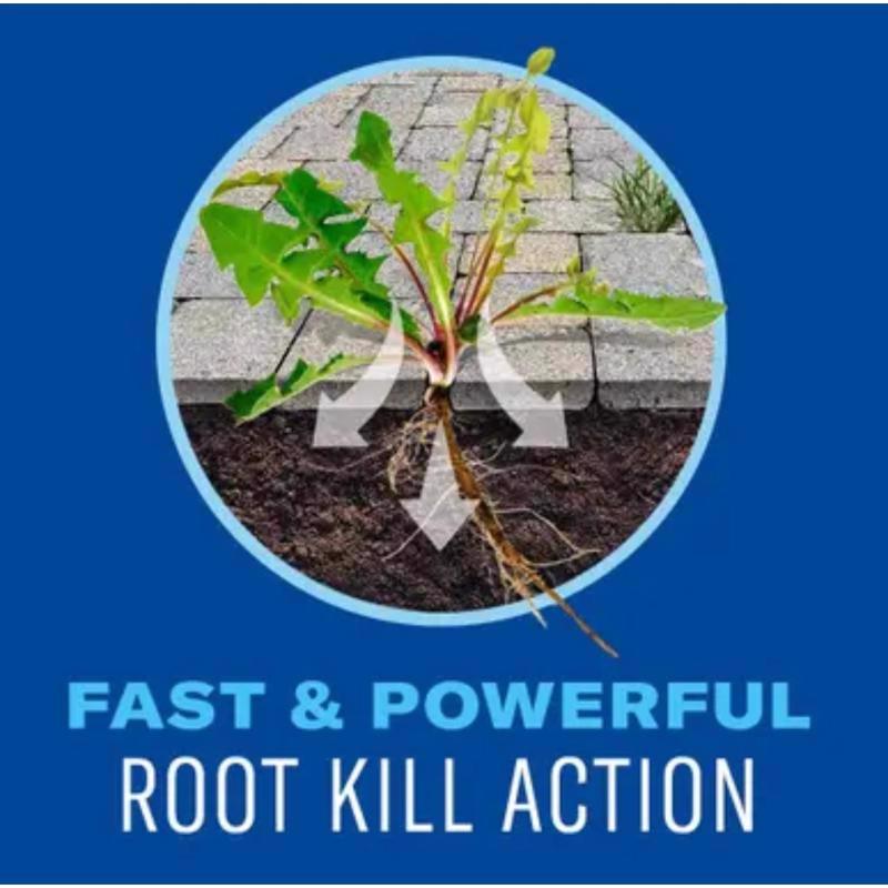BioAdvanced Ready-to-Use Weed and Grass Killer RTU Liquid 1 gal