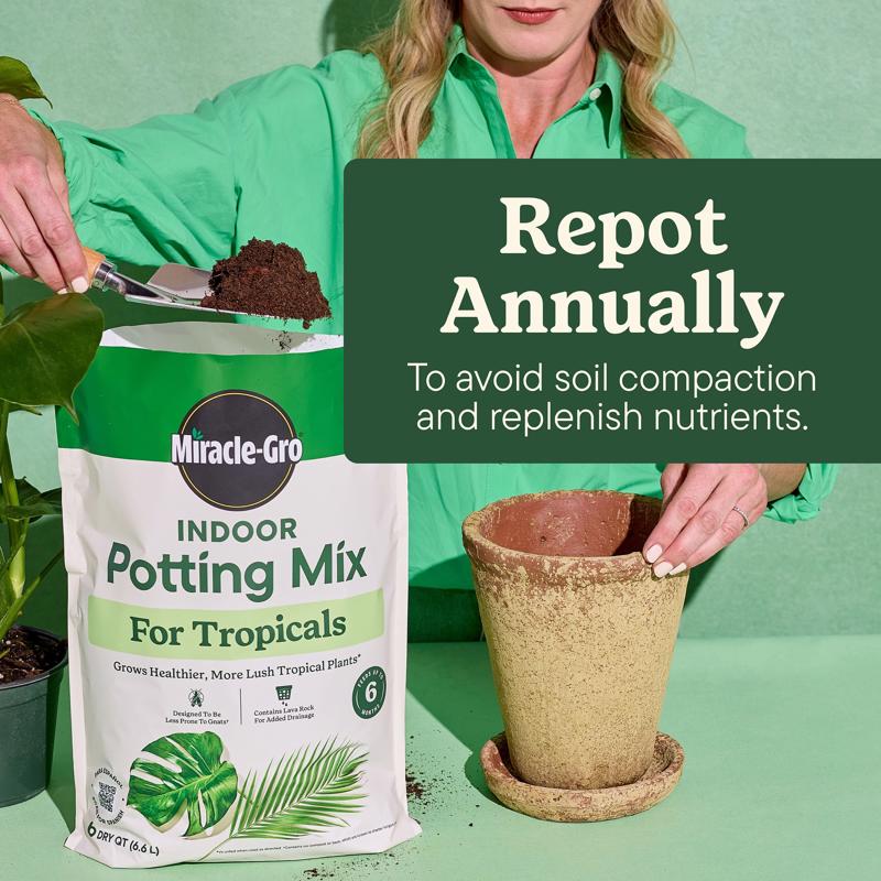 Miracle-Gro Tropical Cacti, Citrus and Palm Potting Mix 6 qt