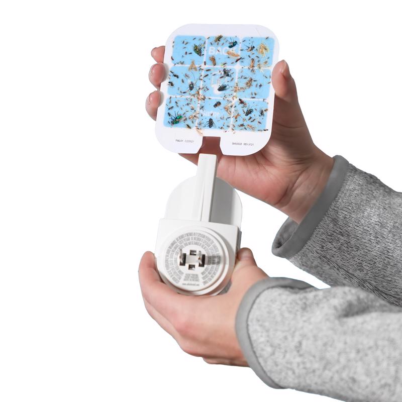 Safer Indoor Flying Insect Trap