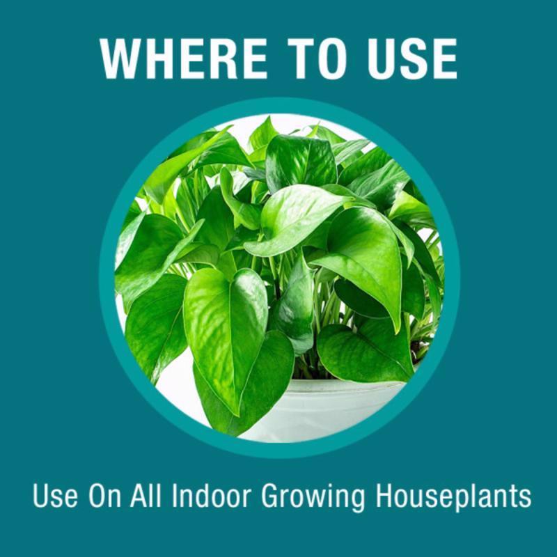 Baby Bio Liquid Concentrate Houseplant Plant Food 5.9 oz