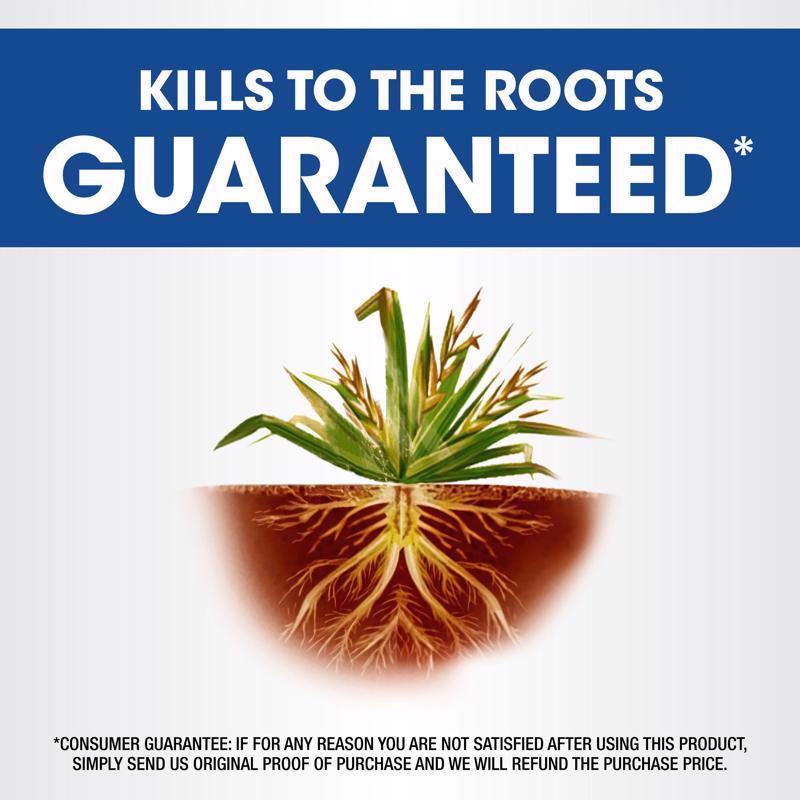 Roundup Weed and Grass Killer Concentrate 1 gal