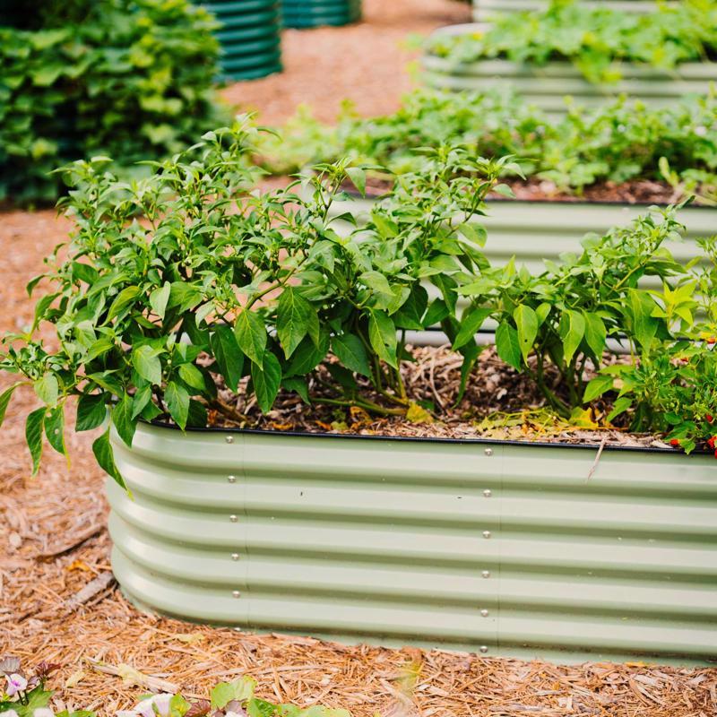 Vego Garden 17 in. H Metal 6 in 1 Raised Garden Bed Olive Green