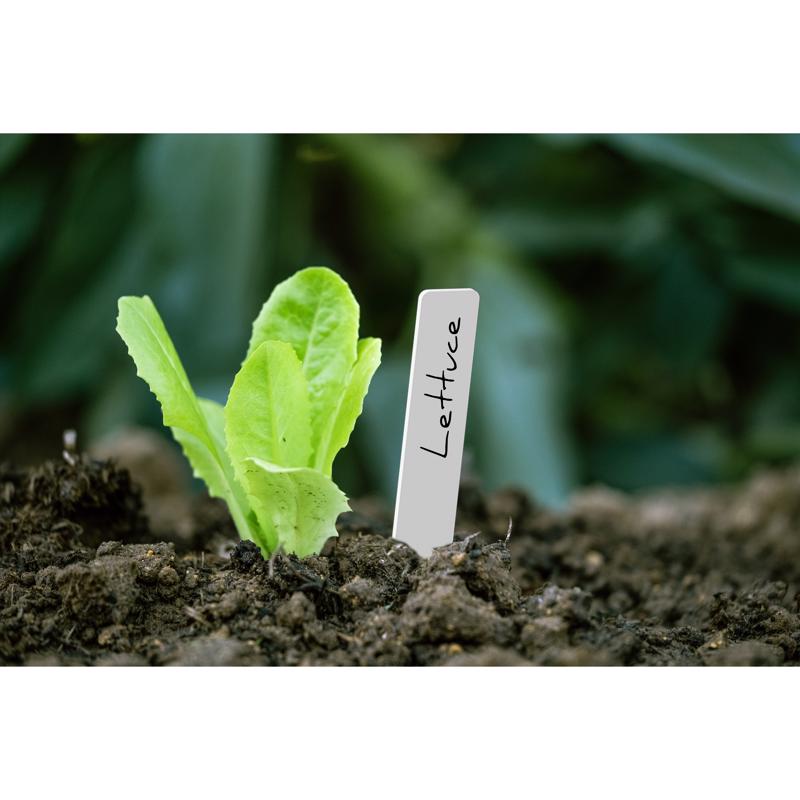 Panacea 8 in. H X 4 in. W X 0.6 in. D White Plastic Plant Label
