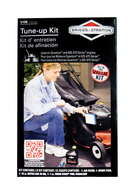 Briggs & Stratton Tune-Up Kit
