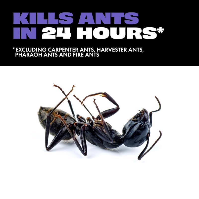 STEM Ant Bait Station 1 oz