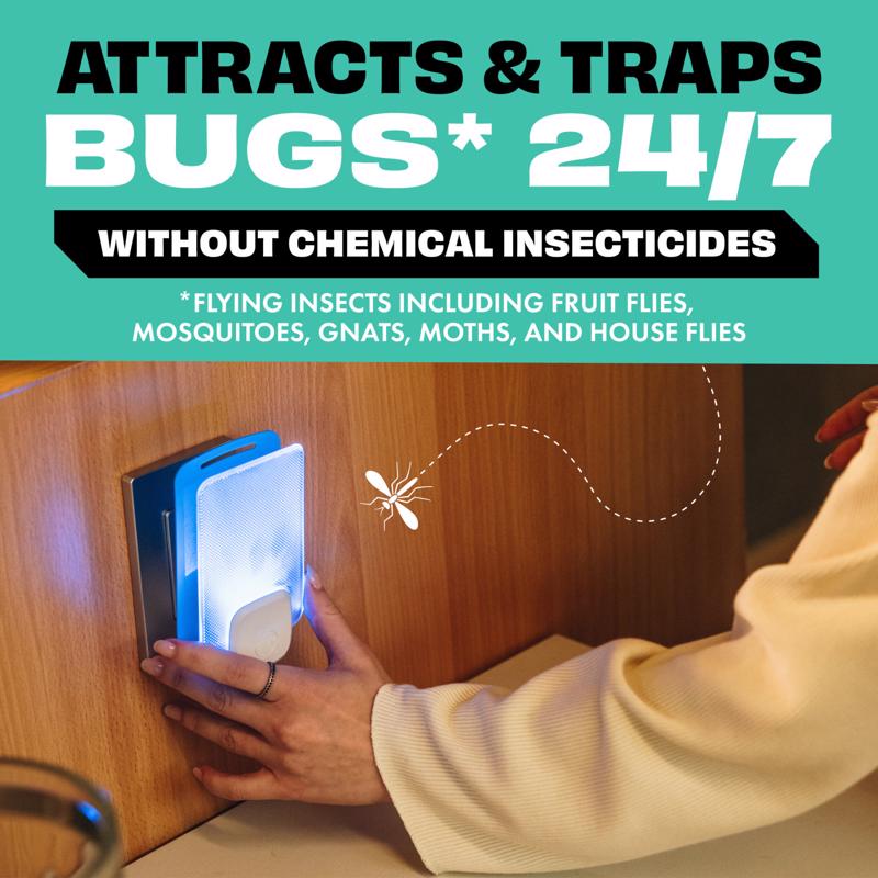 STEM Flying Insect Trap