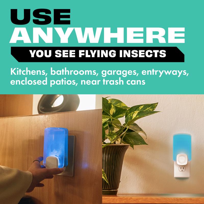 STEM Flying Insect Trap