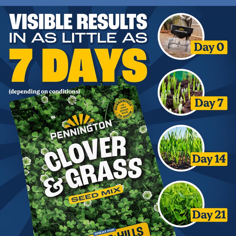 Pennington Smart Seed Clover Grass Mix Full Sun/Light Shade Grass Seed 7 lb