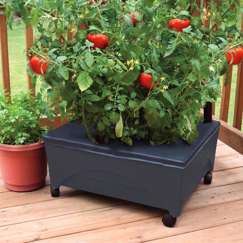 City Pickers 11 in. H X 24 in. W X 20 in. D Resin Garden Bed Charcoal