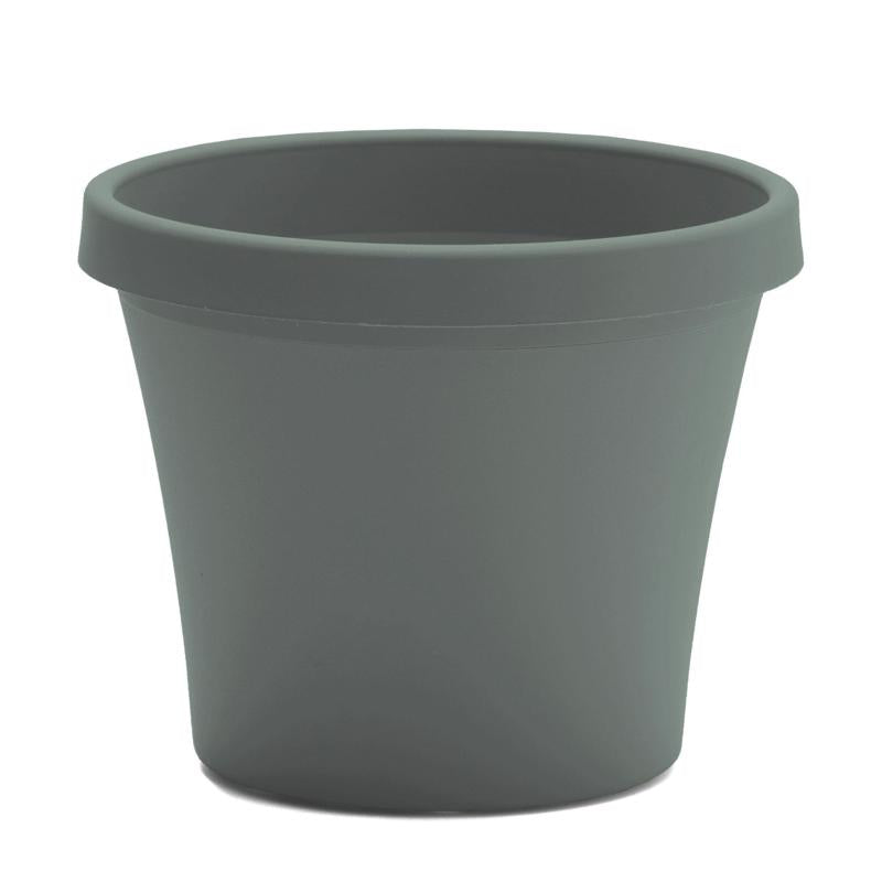 Bloem Terra 8.5 in. H X 10.75 in. W X 7.5 in. D Plastic Traditional Planter Basil