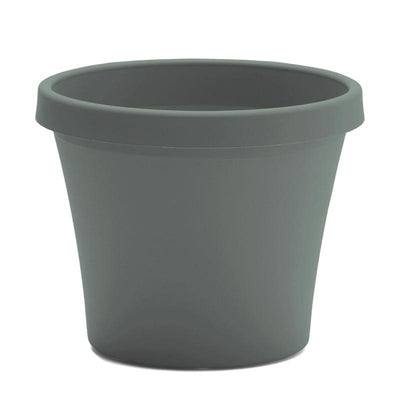 Bloem Terra 8.5 in. H X 10.75 in. W X 7.5 in. D Plastic Traditional Planter Basil