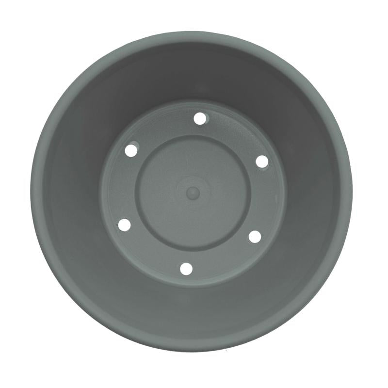 Bloem Terra 8.5 in. H X 10.75 in. W X 7.5 in. D Plastic Traditional Planter Basil
