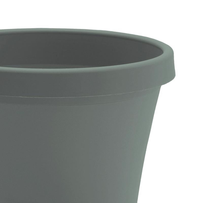 Bloem Terra 10.75 in. H X 13 in. W X 9 in. D Plastic Traditional Planter Basil
