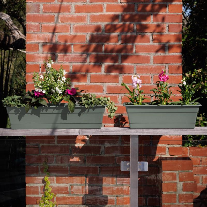 Bloem Dura Cotta 5.75 in. H X 24 in. W X 7.5 in. D Plastic Window Box Basil