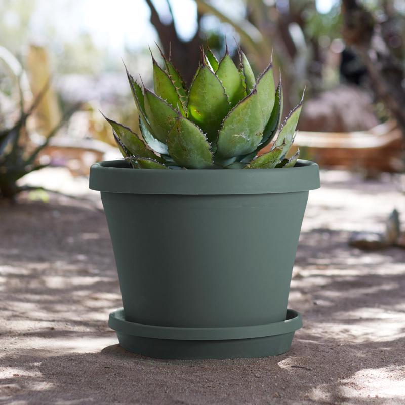 Bloem Terra 2 in. H X 9.5 in. W X 11.25 in. D Plastic Traditional Plant Saucer Basil