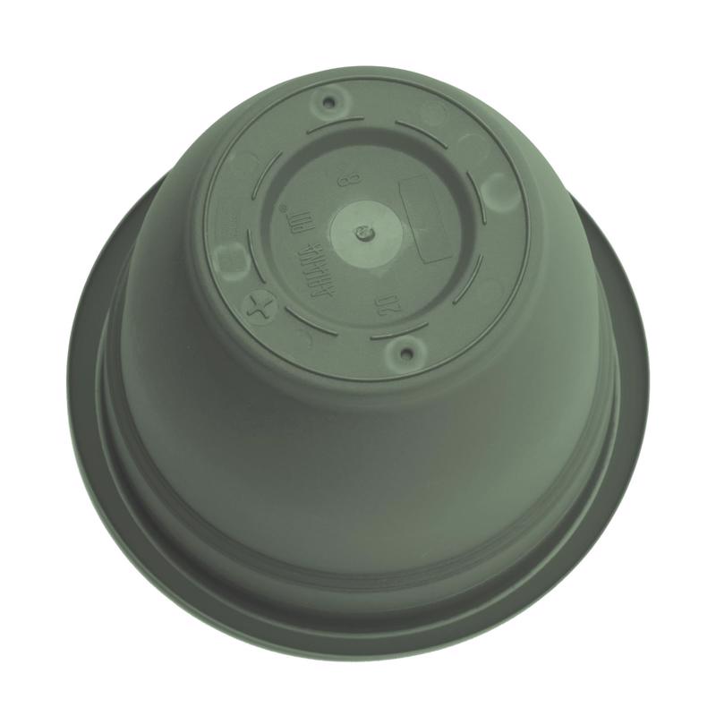 Bloem Ariana 8.5 in. H X 11 in. W X 10 in. D Plastic Traditional Planter Basil
