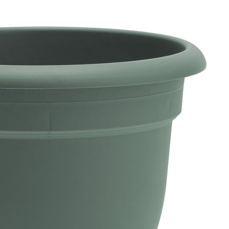 Bloem Ariana 8.5 in. H X 11 in. W X 10 in. D Plastic Traditional Planter Basil