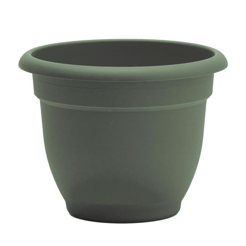 Bloem Ariana 10.25 in. H X 13 in. W X 12 in. D Plastic Traditional Planter Basil