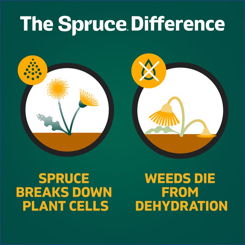 Spruce Snap & Spray Manual Trigger Weed and Grass Killer RTU Liquid 64 oz
