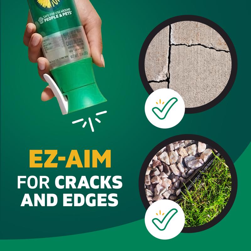 Spruce EZ Aim Twin Pack Weed and Grass Killer RTU Liquid 10 oz