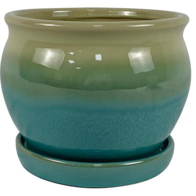 Border Concepts 7 in. H X 8.25 in. W Ceramic Archdale Planter Moss