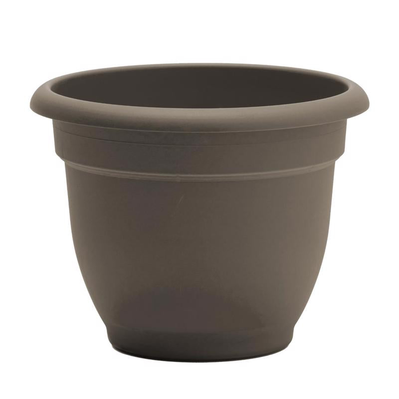 Bloem Ariana 5.25 in. H X 6.5 in. W X 6 in. D Plastic Traditional Planter Peppercorn