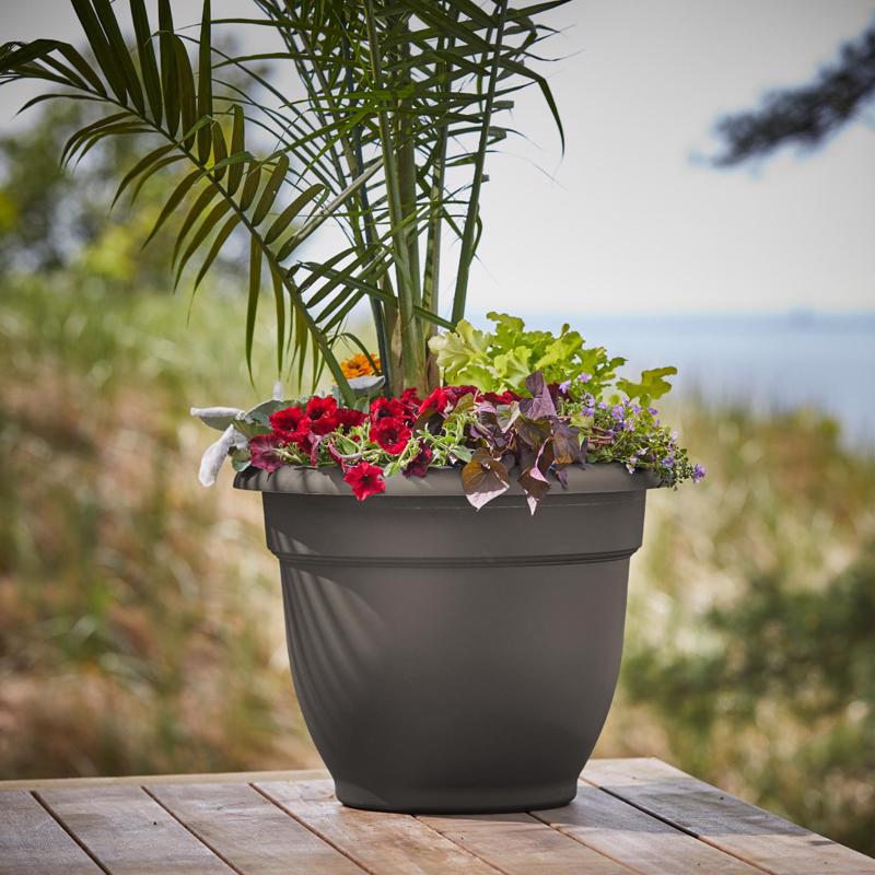 Bloem Ariana 13.75 in. H X 17.75 in. W X 16 in. D Plastic Traditional Planter Peppercorn
