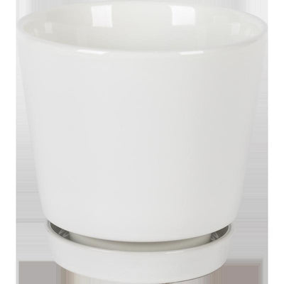 Border Concepts 4.5 in. D Ceramic Flair Saucer Planter White