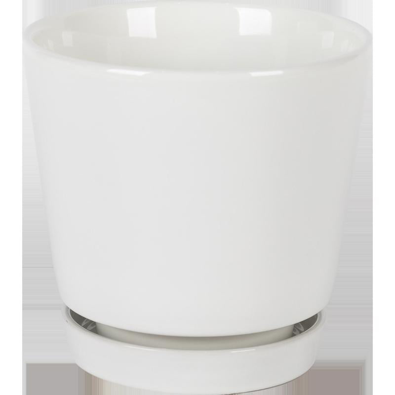 Border Concepts 6 in. D Ceramic Flair Saucer Planter White