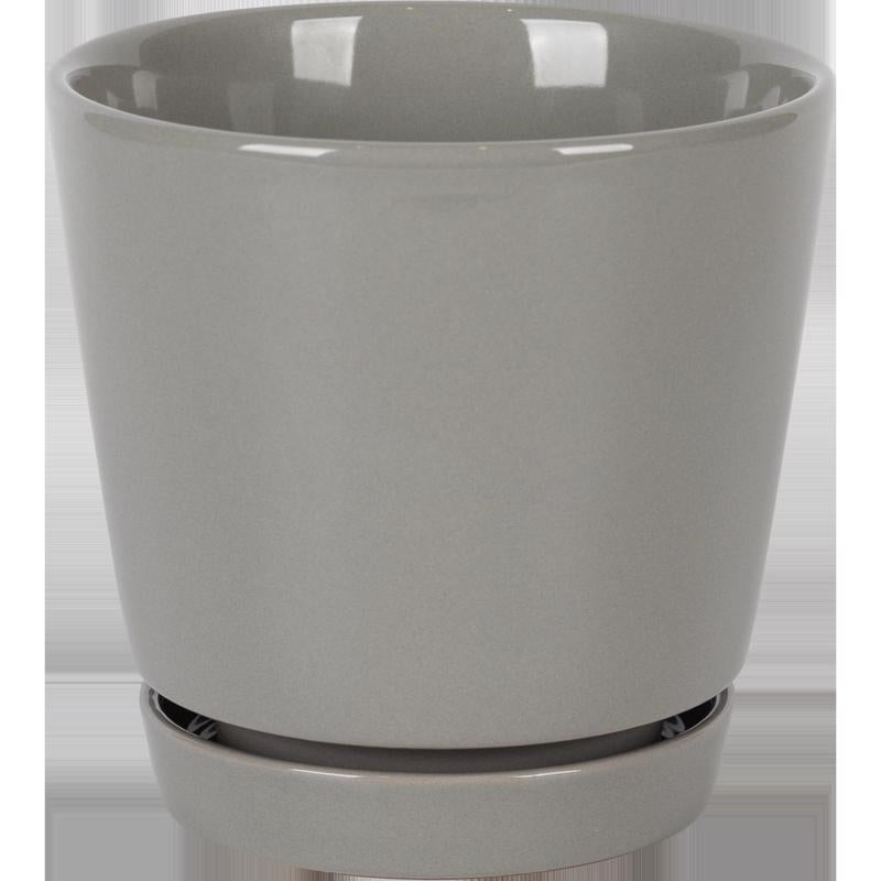 Border Concepts 4.5 in. D Ceramic Flair Saucer Planter Grey
