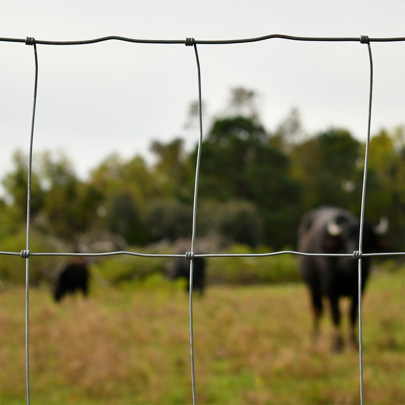 Ironridge 47 in. H X 330 ft. L Steel Field Fencing Gray