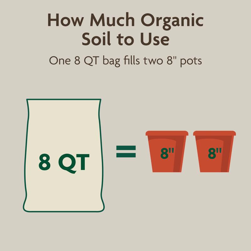 Miracle-Gro Organic Organic Indoor Plant Potting Mix 8 qt