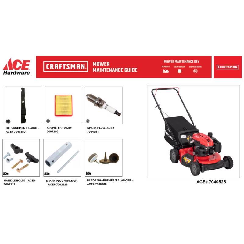 Craftsman M110C 21 in. 163 cc Gas Lawn Mower