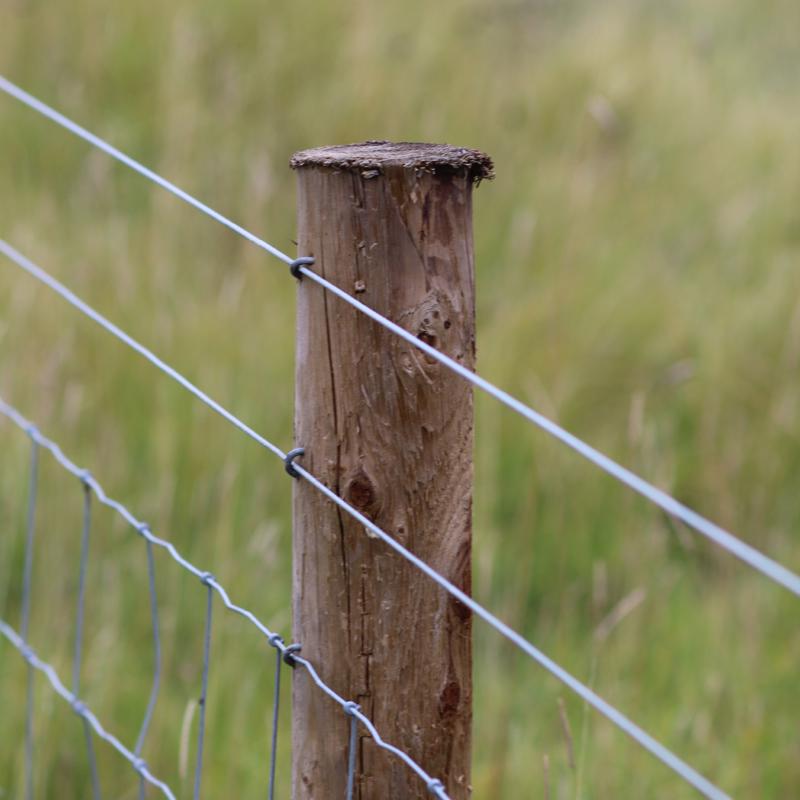Ironridge 0.0453 in. H X 1320 ft. L Galvanized Steel Electric Fencing Silver