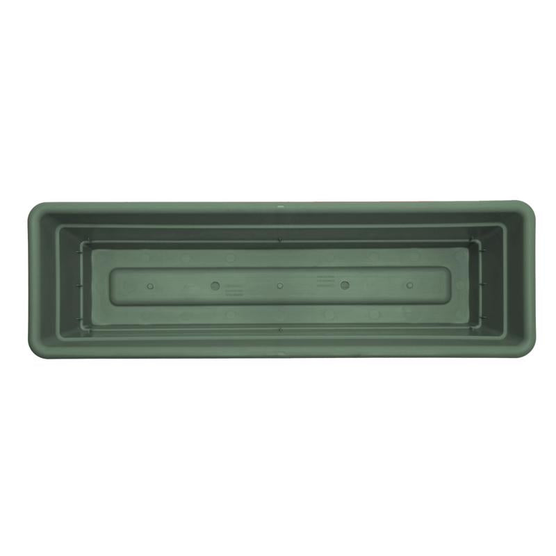 Bloem Dura Cotta 5.75 in. H X 18 in. W X 7.5 in. D Plastic Window Box Basil