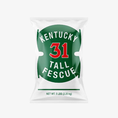 Barenbrug Kentucky 31 Tall Fescue Grass Sun or Shade Grass Seed 5 lb
