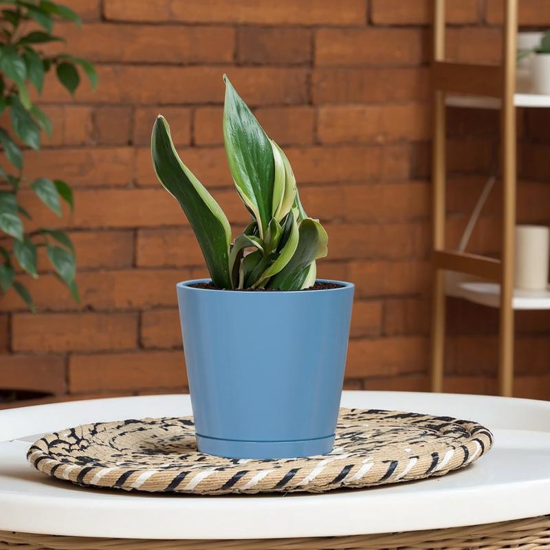 L&G Solutions 5.7 in. H X 6 in. W X 6 in. D X 6 in. D Resin Planter Blue