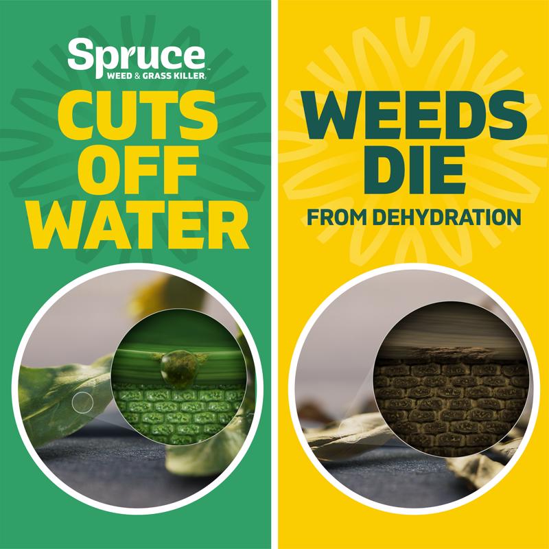 Spruce Snap & Spray Broadleaf Weed and Vegetation Killers RTU Liquid 64 fl. oz.
