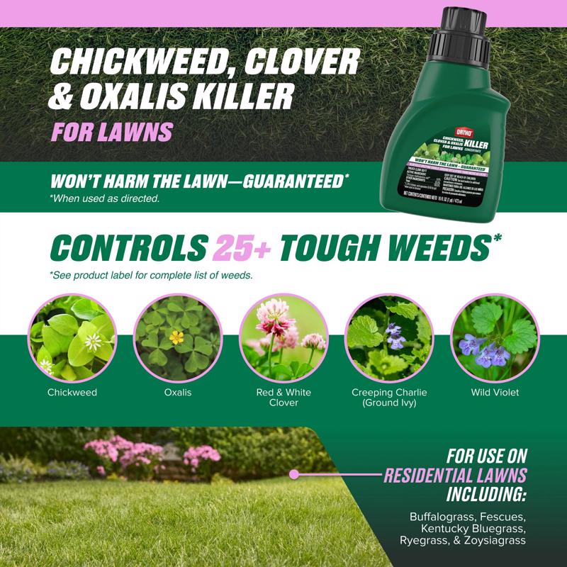 Ortho Killer Concentrate 16 fl. oz.