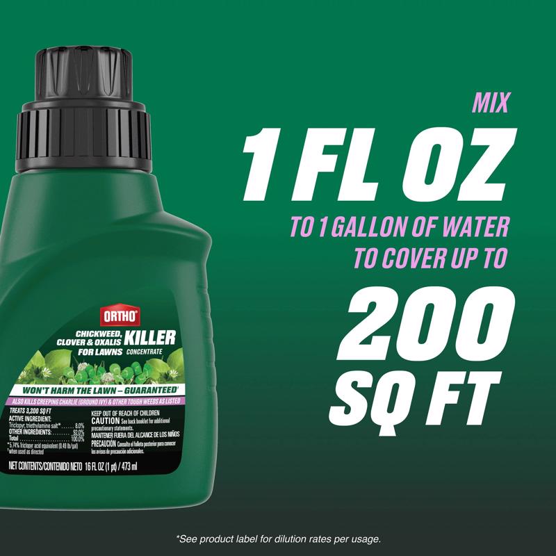 Ortho Killer Concentrate 16 fl. oz.