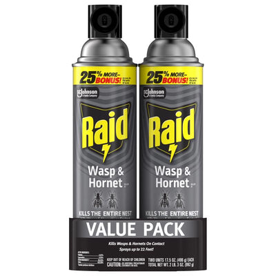 Raid Wasp and Hornet Killer Aerosol 17.5 oz