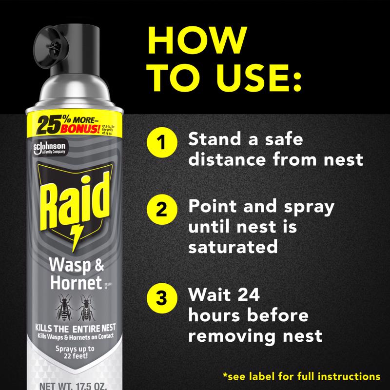 Raid Wasp and Hornet Killer Aerosol 17.5 oz