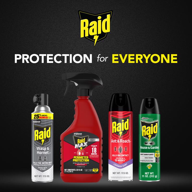 Raid Wasp and Hornet Killer Aerosol 17.5 oz