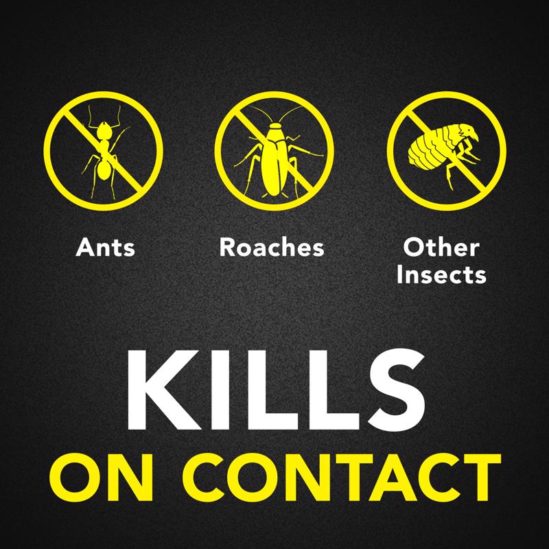Raid Outdoor Fresh Ant and Roach Killer Aerosol 17.5 oz