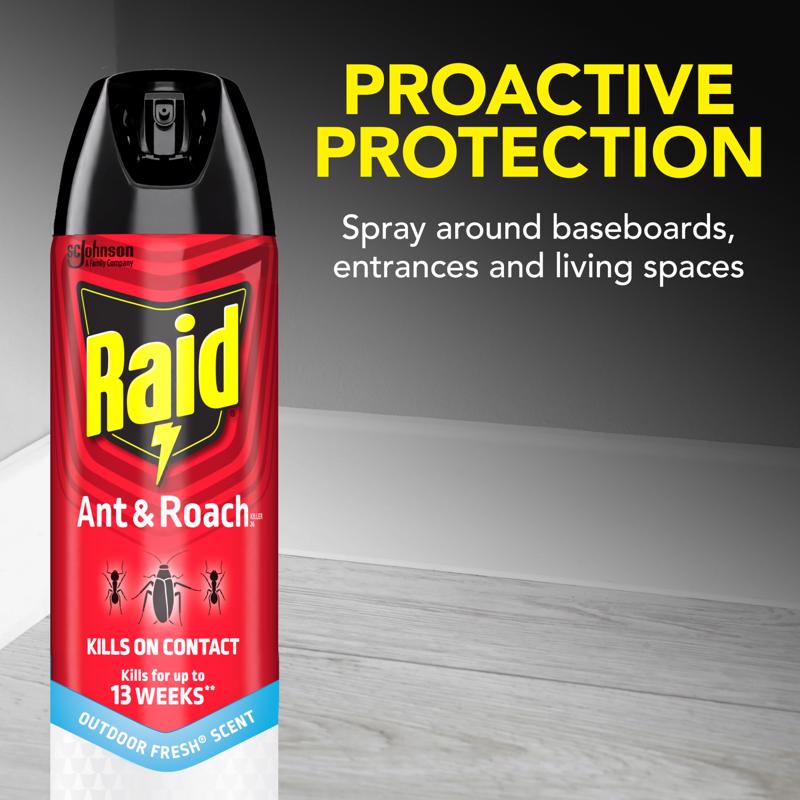 Raid Outdoor Fresh Ant and Roach Killer Aerosol 17.5 oz